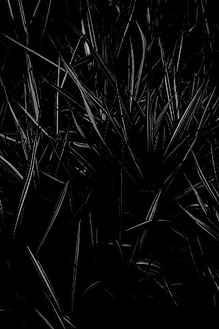 Дикая трава обои