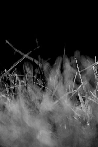 Играя солнечным светом обои