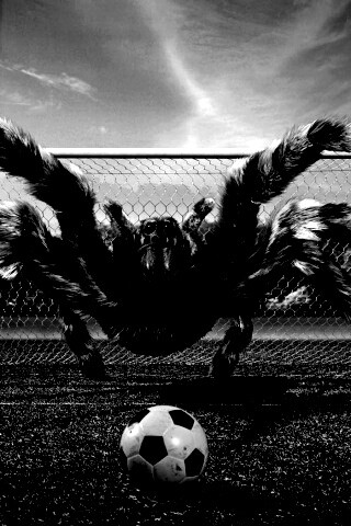 Вратарь обои