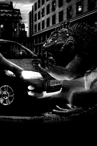 Ящерица в городе обои