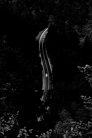 Лесная трасса обои