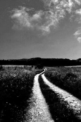 Дорога через луг обои