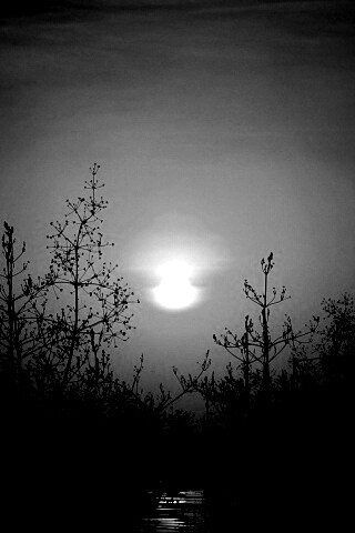 Доисторическое утро обои