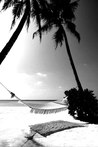 Тропический рай обои