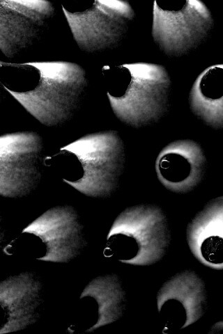 Чёрные карандаши обои