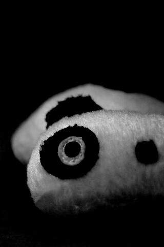 Игрушечная панда обои