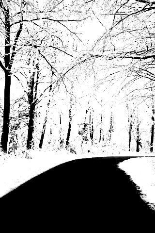 Дорога в зимнем лесу обои