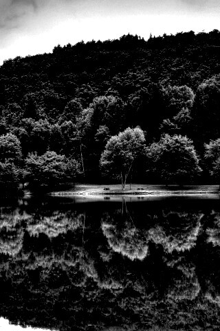 Лесной берег обои