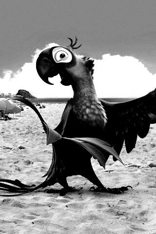 Blu из Rio обои