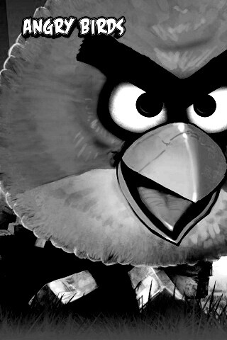 Angry Birds обои