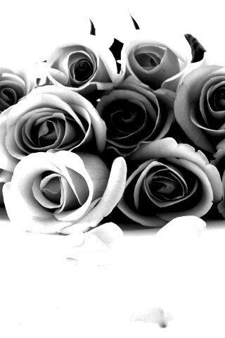 Букет роз обои