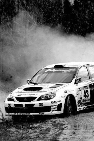 Раллийная гонка обои