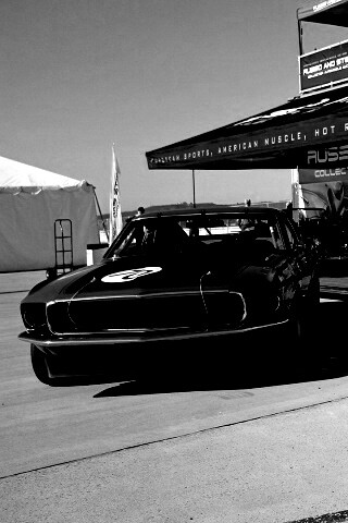 Мускул кары обои