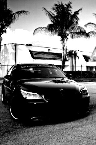 Две БМВ обои