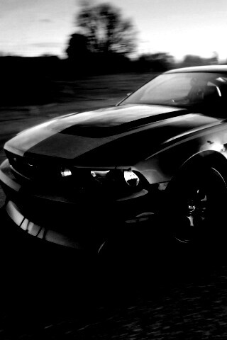 Ford Mustang обои