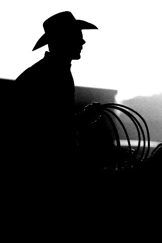 Ковбой с лассо на коне обои