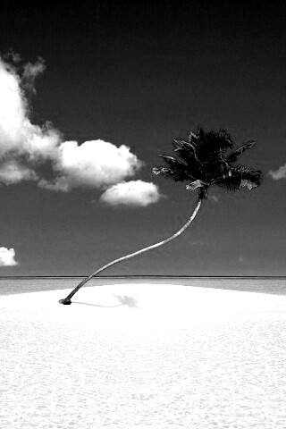 Идеальный пальмовый остров обои