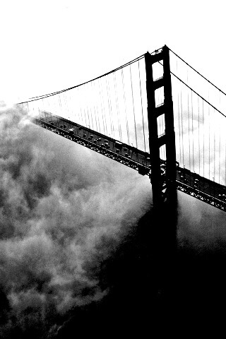 Мост Золотые ворота утопает в тумане обои