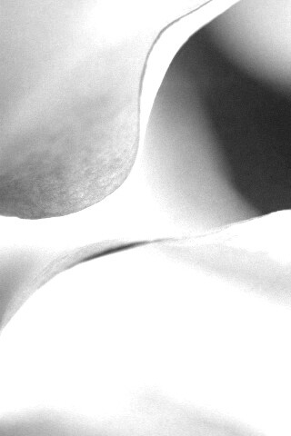 Оттенки природы обои