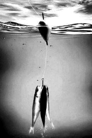 На крючке обои