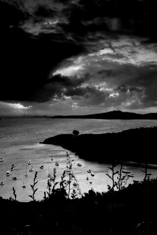 Waiheke Island, New Zealand обои