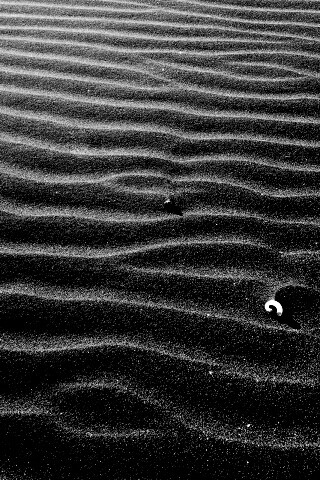 Песок и раковины обои