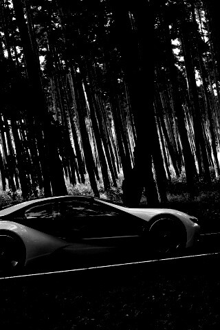 Спорткар BMW на лесной дороге обои