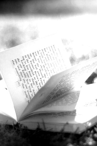 Книга в нежном свете обои