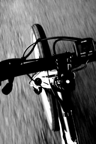 Катание на велосипеде обои