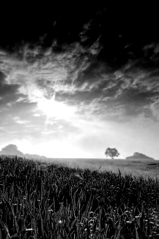 Безмятежность обои