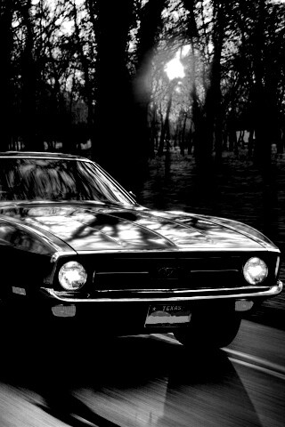 Мустанг обои