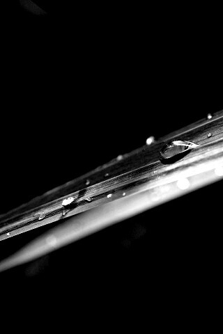 Капли росы на листе обои