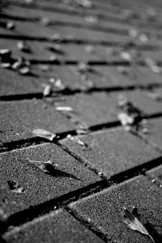 Тротуар обои