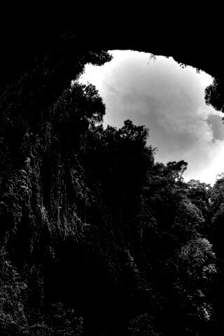 Заросшее ущелье обои