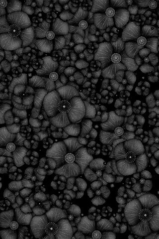 Рисунко с красными цветами обои