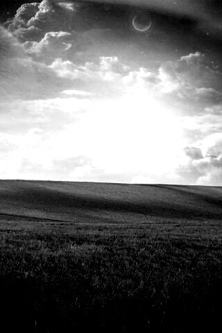 Луг на другой планете обои