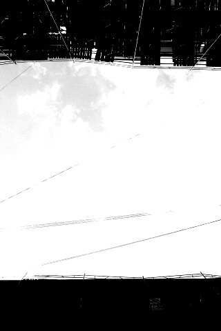 Человеческий муравейник обои