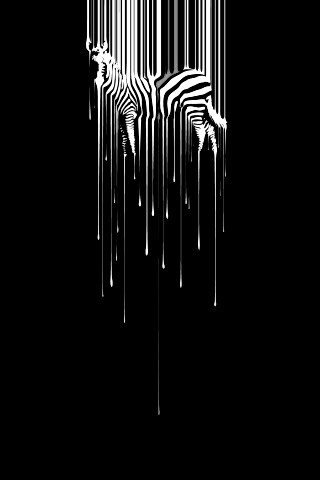 Креативное изображение зебры обои