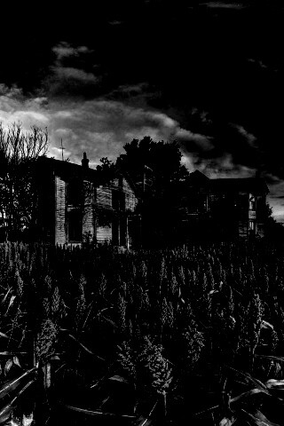 Заброшенный дом  обои