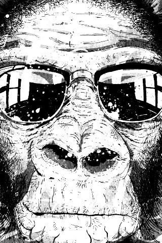 Макака в очках обои