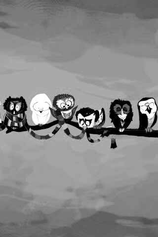 Совы на ветке обои