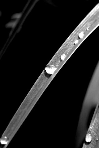 Капли росы на траве обои