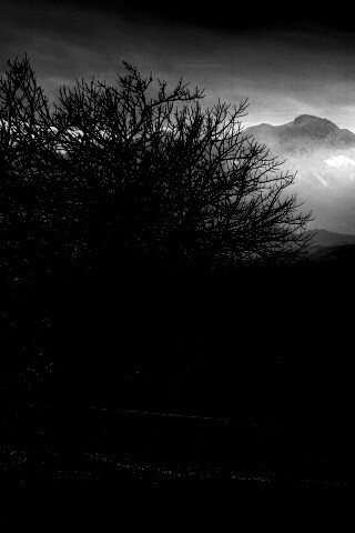 Дерево и горы обои