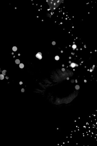 Бархатные лепестки обои