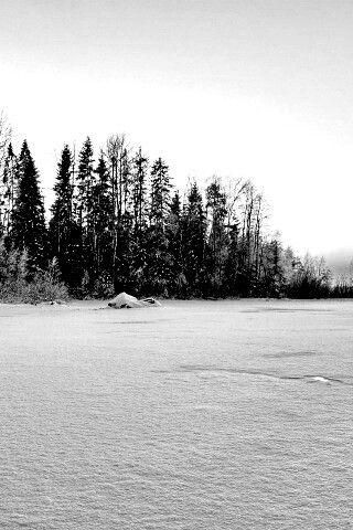 Зимний закат обои