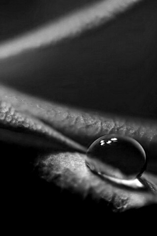 Капелька обои