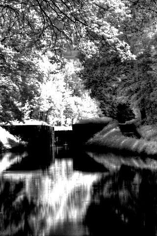 Замёрзжий канал обои