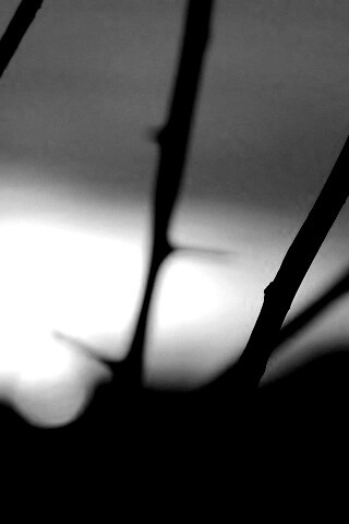 Закат солнца в поле обои