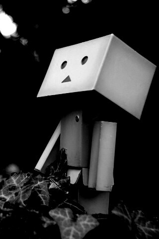 Danbo смотрит вверх обои