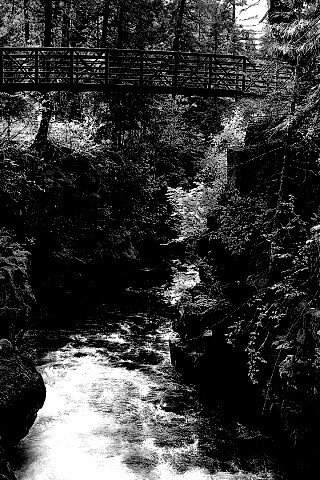 Мостик через реку в лесу обои